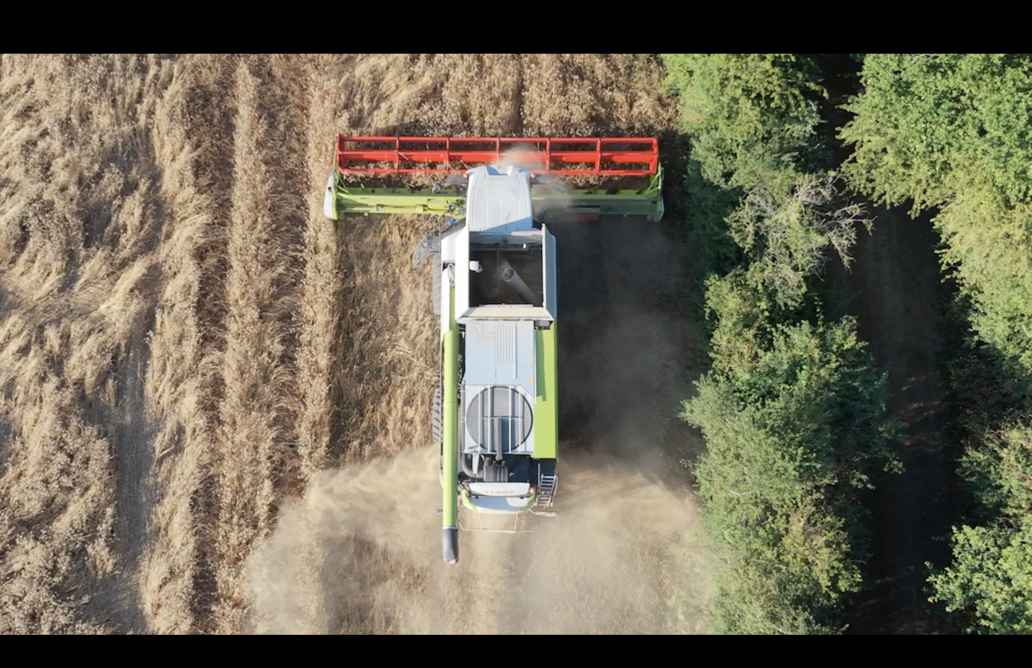 Claas